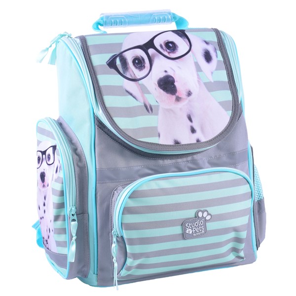 Studio Pets Dalmatin