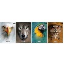 SESIT A5 BENIAMIN WILD