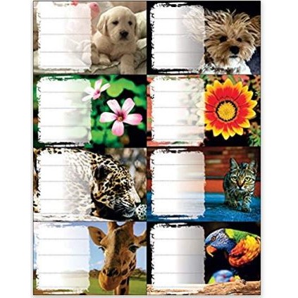 PANTA P.NALEPKY SESITOVE 24 ks