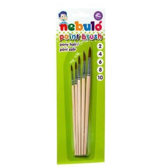 PAINT BRUSH SET 5 PCS COLOURED