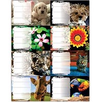 PANTA P.NALEPKY SESITOVE 24 ks