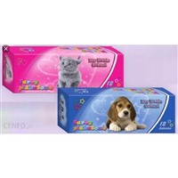 TEMPERY MAJEW. FRIEND 12 ks